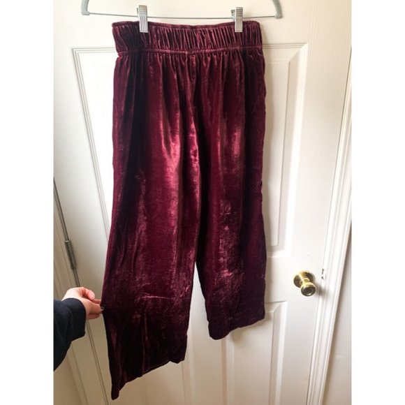 Madewell Velvet Crop Pants - Picture 3 of 5